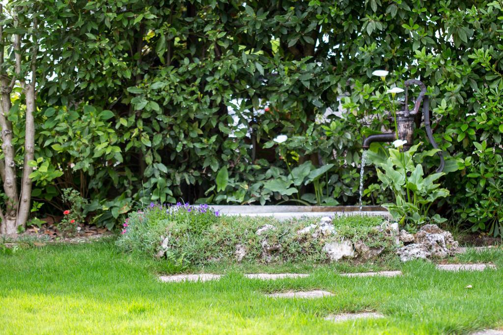 B&B Arco Di Pietra Quinto Di Treviso Zewnętrze zdjęcie